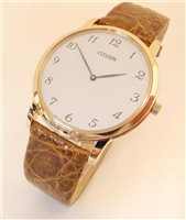 Orologio Citizen Uomo 0.45 in Acciaio AR1113-39C - AR1113-39C